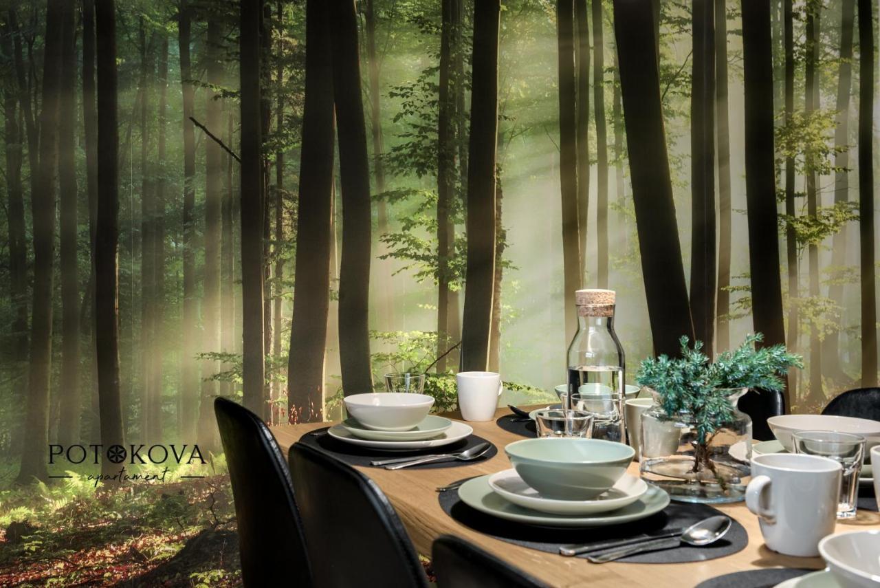 Potokova Apartament Centrum ザコパネ エクステリア 写真
