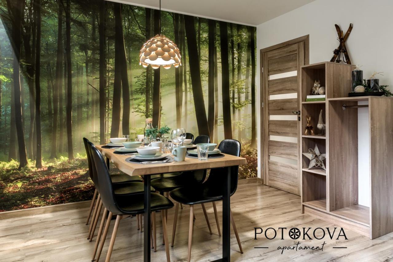 Potokova Apartament Centrum ザコパネ エクステリア 写真