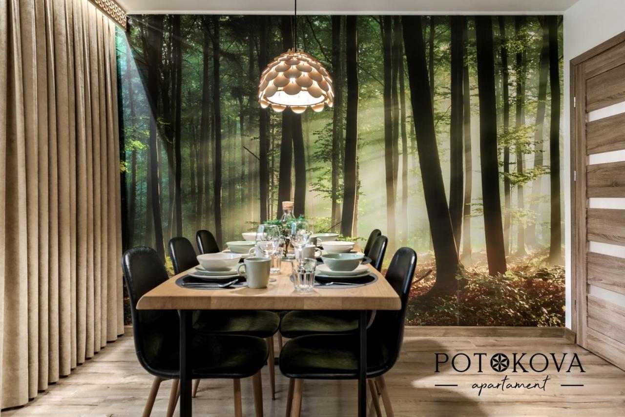 Potokova Apartament Centrum ザコパネ エクステリア 写真