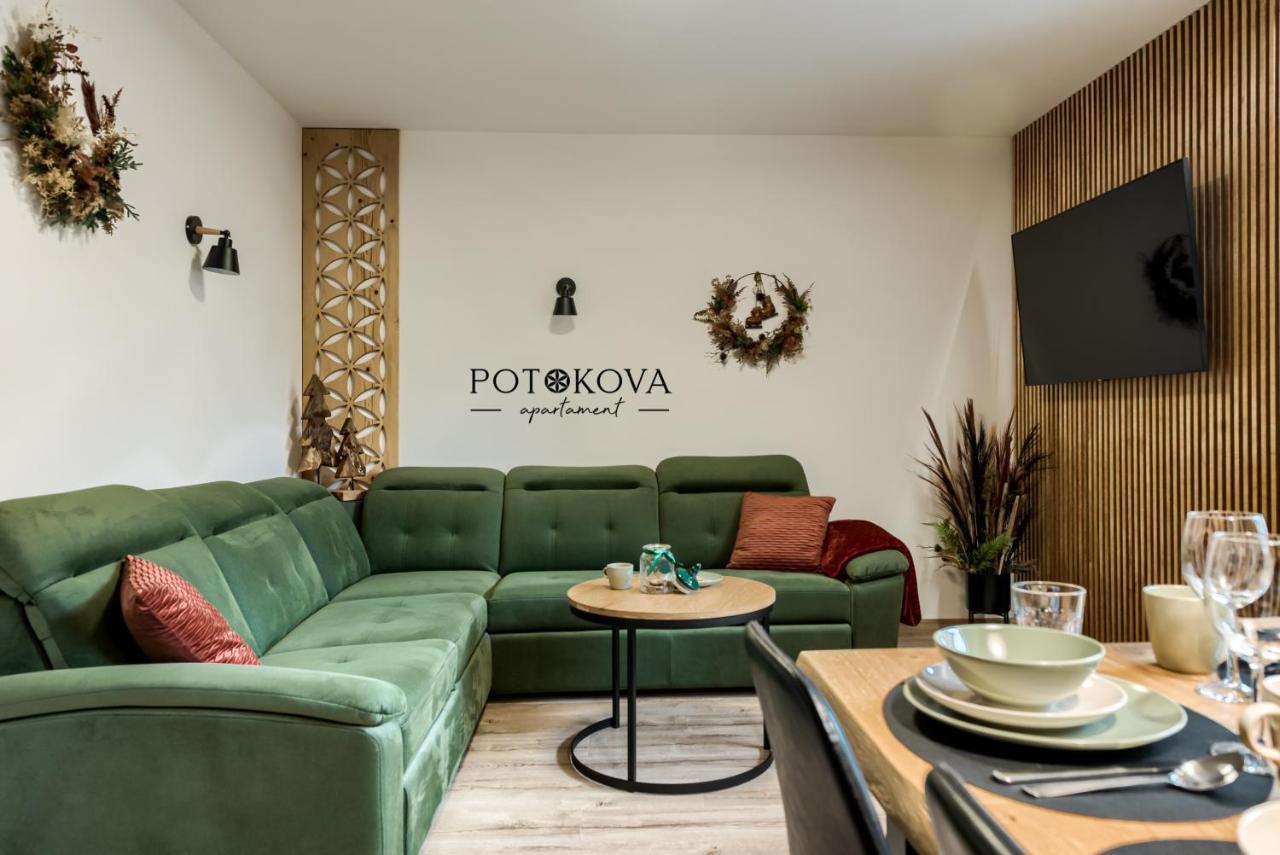 Potokova Apartament Centrum ザコパネ エクステリア 写真