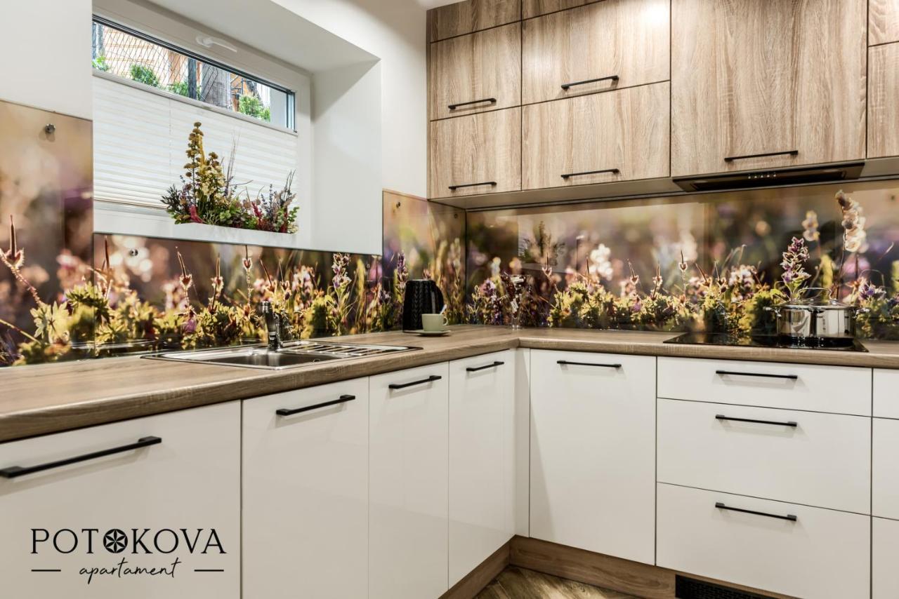 Potokova Apartament Centrum ザコパネ エクステリア 写真
