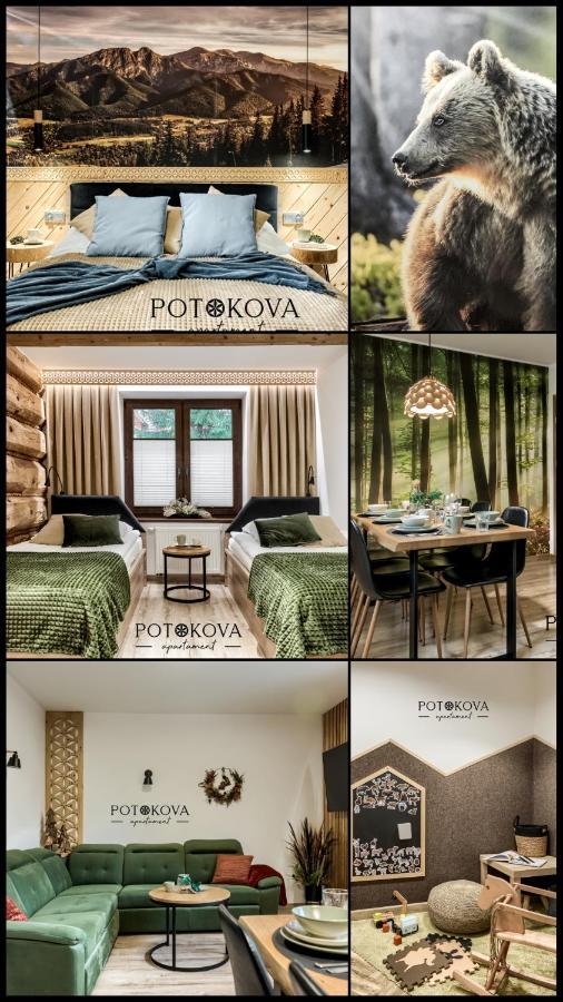 Potokova Apartament Centrum ザコパネ エクステリア 写真